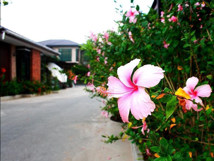 Yenjit Resort Chachoengsao Exteriör bild